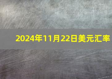 2024年11月22日美元汇率