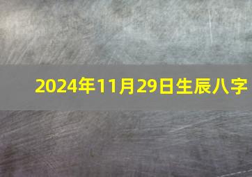 2024年11月29日生辰八字