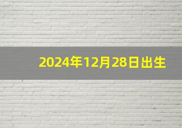 2024年12月28日出生