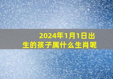 2024年1月1日出生的孩子属什么生肖呢