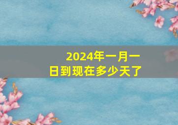 2024年一月一日到现在多少天了