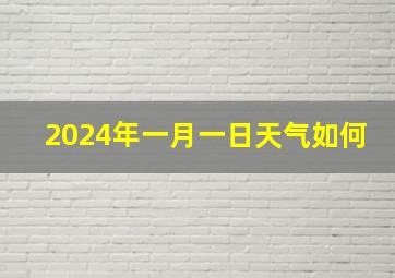 2024年一月一日天气如何