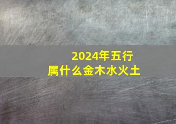 2024年五行属什么金木水火土