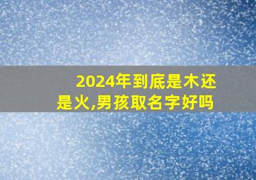 2024年到底是木还是火,男孩取名字好吗