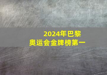 2024年巴黎奥运会金牌榜第一