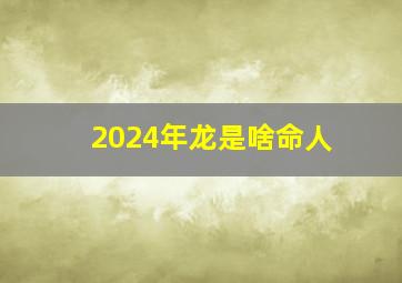 2024年龙是啥命人