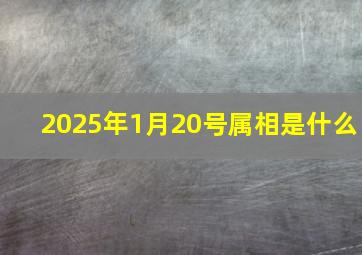 2025年1月20号属相是什么