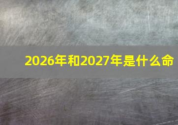 2026年和2027年是什么命