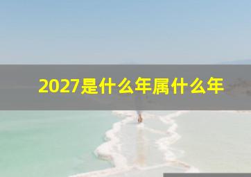 2027是什么年属什么年