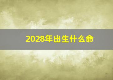 2028年出生什么命