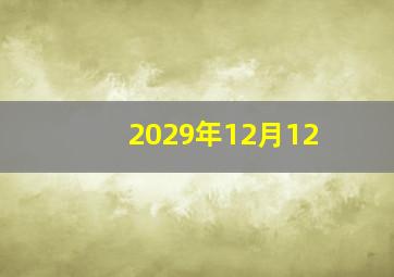 2029年12月12