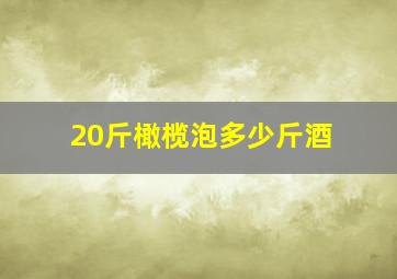 20斤橄榄泡多少斤酒