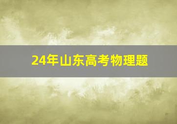 24年山东高考物理题