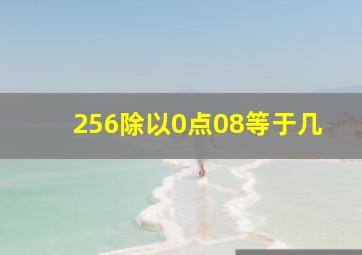 256除以0点08等于几