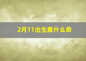 2月11出生属什么命