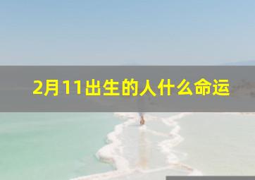 2月11出生的人什么命运