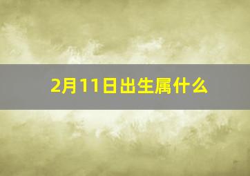 2月11日出生属什么