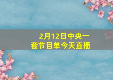 2月12日中央一套节目单今天直播