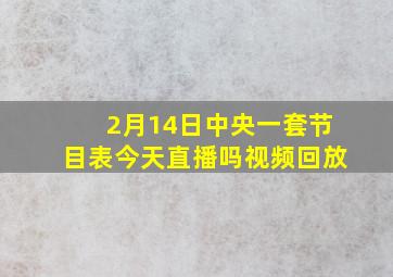 2月14日中央一套节目表今天直播吗视频回放