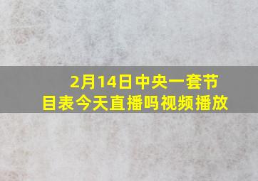 2月14日中央一套节目表今天直播吗视频播放