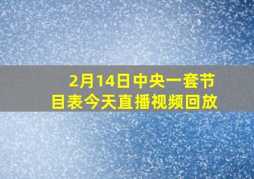 2月14日中央一套节目表今天直播视频回放