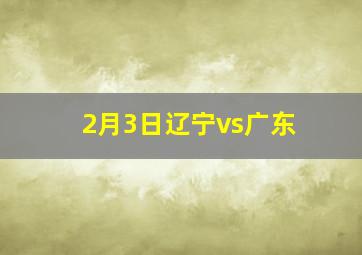 2月3日辽宁vs广东