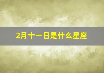 2月十一日是什么星座