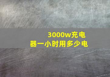 3000w充电器一小时用多少电