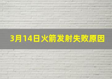 3月14日火箭发射失败原因