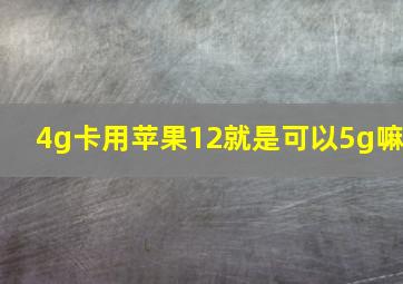 4g卡用苹果12就是可以5g嘛