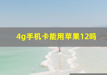 4g手机卡能用苹果12吗