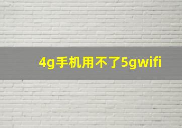 4g手机用不了5gwifi