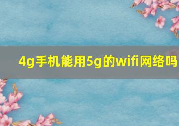 4g手机能用5g的wifi网络吗