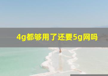 4g都够用了还要5g网吗