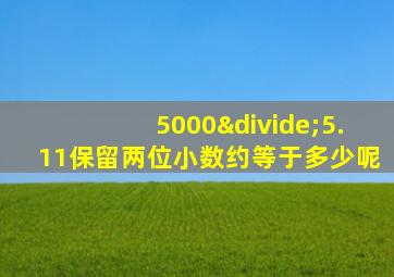 5000÷5.11保留两位小数约等于多少呢