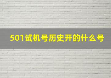 501试机号历史开的什么号