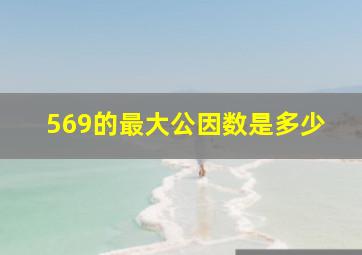 569的最大公因数是多少