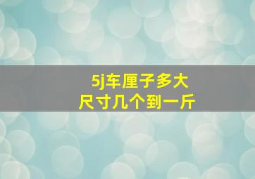 5j车厘子多大尺寸几个到一斤