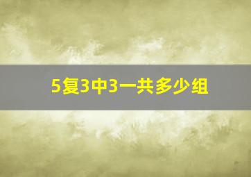 5复3中3一共多少组