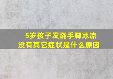 5岁孩子发烧手脚冰凉没有其它症状是什么原因