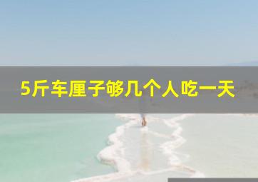 5斤车厘子够几个人吃一天