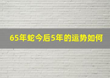 65年蛇今后5年的运势如何