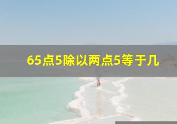 65点5除以两点5等于几