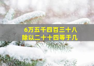 6万五千四百三十八除以二十十四等于几