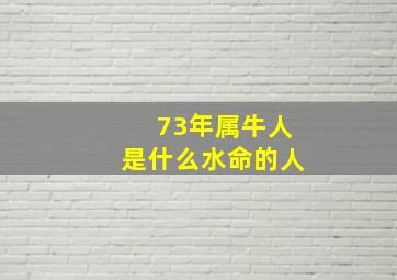 73年属牛人是什么水命的人