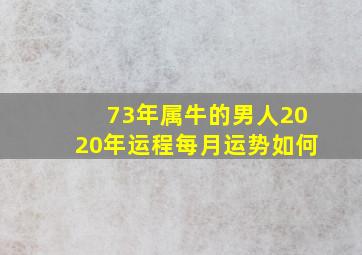 73年属牛的男人2020年运程每月运势如何