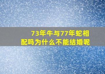 73年牛与77年蛇相配吗为什么不能结婚呢