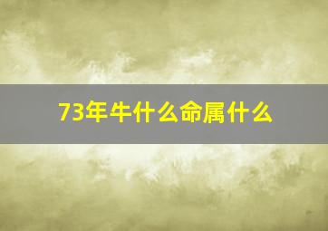 73年牛什么命属什么