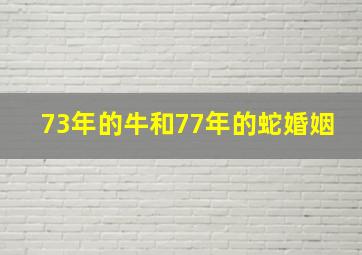 73年的牛和77年的蛇婚姻