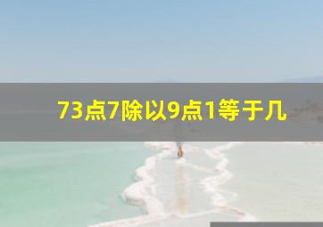 73点7除以9点1等于几